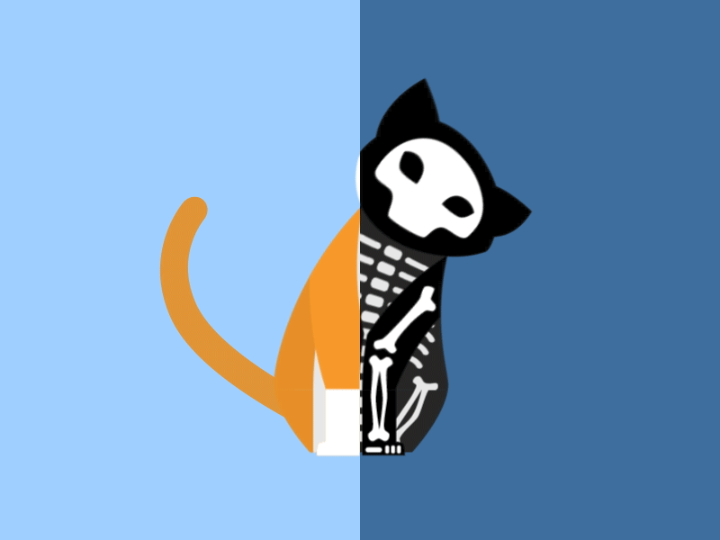 GIF mostra animação de um gato inclinando seu corpo para a direita e para a esquerda, alternando entre sua versão completa e versão com estilo de raio-x